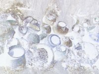 Pottery.TIF