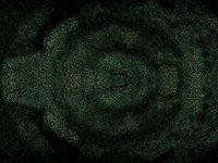 forest.TIF