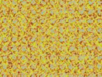 digitalDaisies.TIF