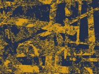 palmPrint.TIF