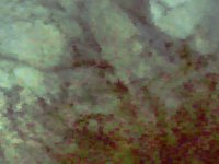 pixelCloud.TIF
