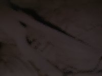 plier.TIF