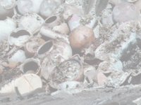 pottery.TIF