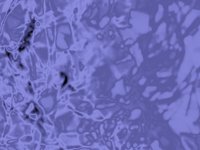 purpleSatin.TIF