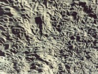patternsinSand.TIF