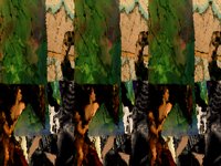 worldCollage.TIF