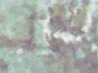 ppond11.TIF