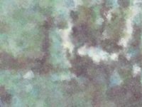 ppond13.TIF