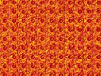05Croweyes.TIF