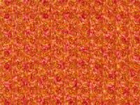 06Speckleeyes.TIF
