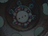 bigWheel.TIF