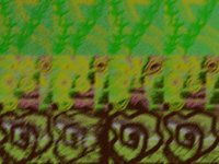 filterExcercise.TIF