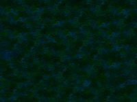 littleBluelights.TIF