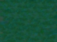 greenWaves.TIF