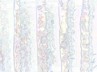 liquidColumns.TIF