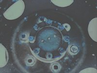 wheel01.TIF