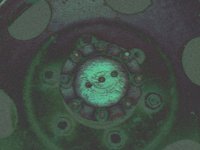 wheel05.TIF