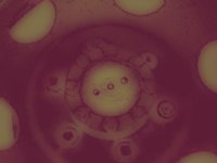 wheel07.TIF