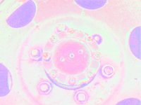 wheel09.TIF