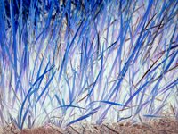 bluGrass.TIF