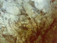 caveWall.TIF