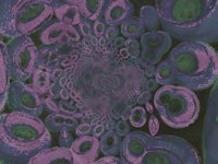 donutWhirl.TIF