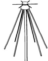 DISCONE2.JPG