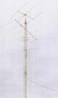 ANT04.JPG