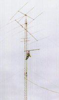 ANT03.JPG