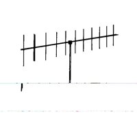 ANT01.JPG