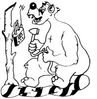 BEARQSO.JPG