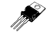 7805.JPG