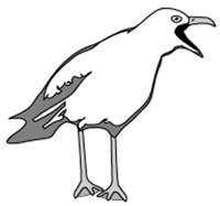 SEAGULL.GIF