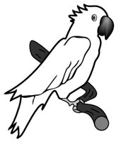PARROT.GIF