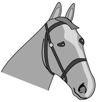 HORSE.GIF