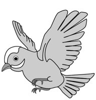 BIRD.GIF