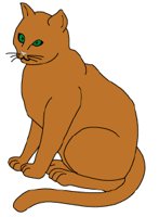 SITNGCAT.GIF