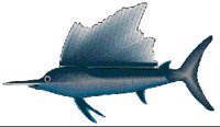 SAILFISH.GIF