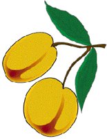 PLUMS.GIF
