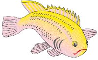 PERCH.GIF