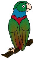 PARROT2.GIF