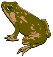 FROG.GIF