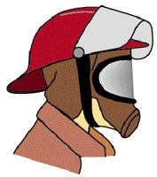 FRHELMET.GIF