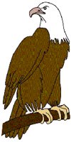EAGLE.GIF