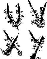 2505XA.WMF