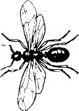 0964BAN.WMF