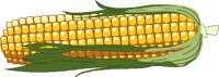 4510FD.WMF