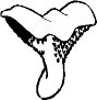 3369FD.WMF