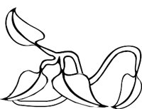 2182FR.WMF