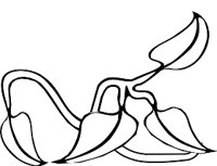 2181FR.WMF
